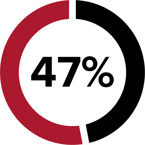 Image a Graph Displaying - 47%