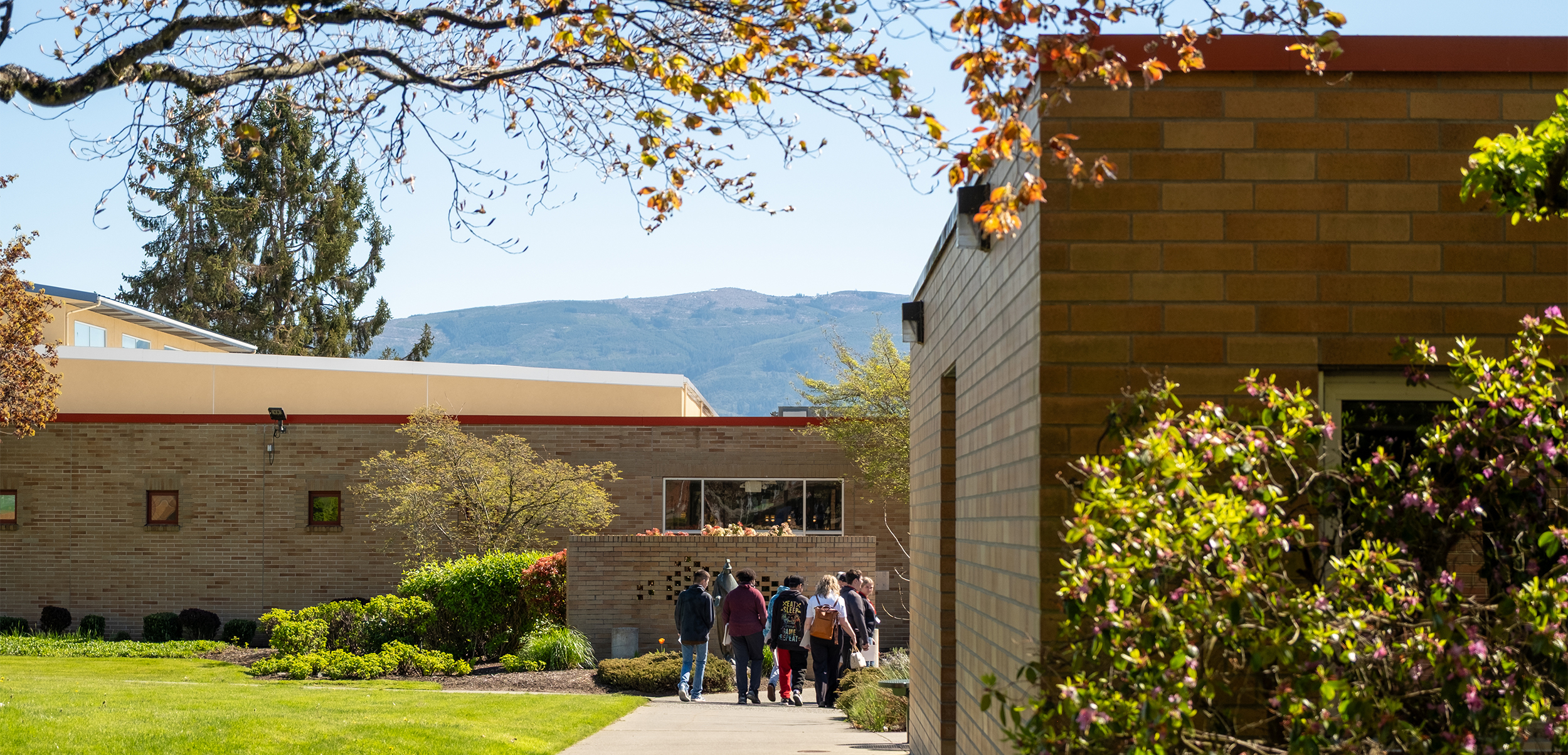 Students walking outside Norwood Cole Library