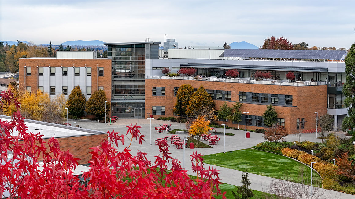 Students in Economics class