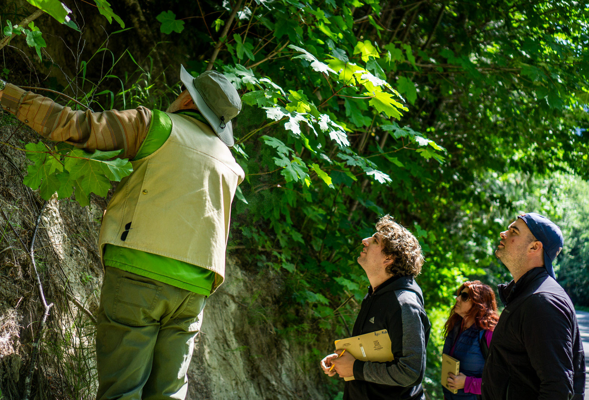 Environmental Conservation Environmental Conservation