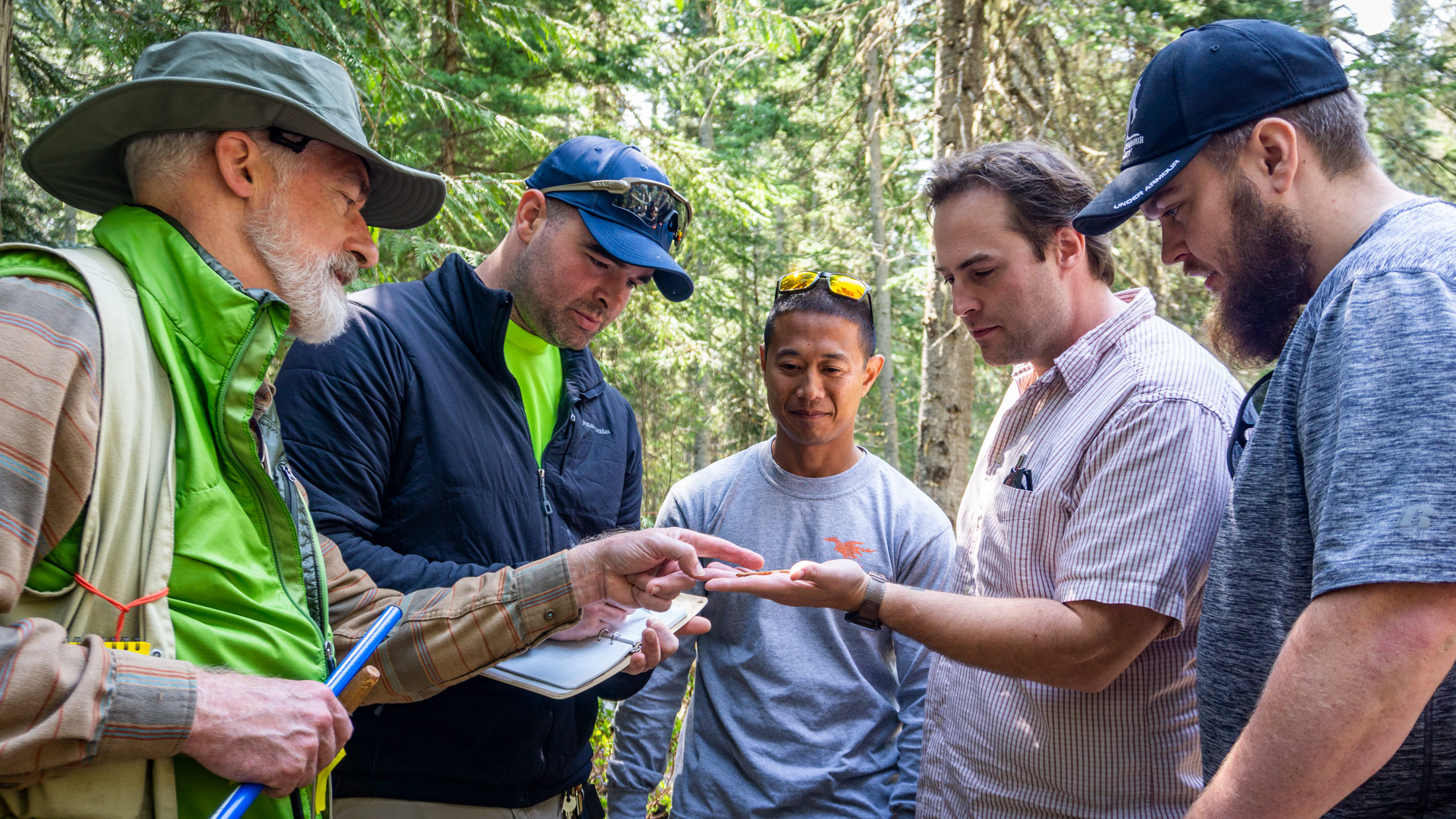 Forest Ecology students reviewing tree core sample.