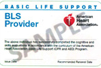 Sample of American Heart Association Basic Life Support Card