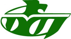 Logo of Highline Community College Thunderbirds